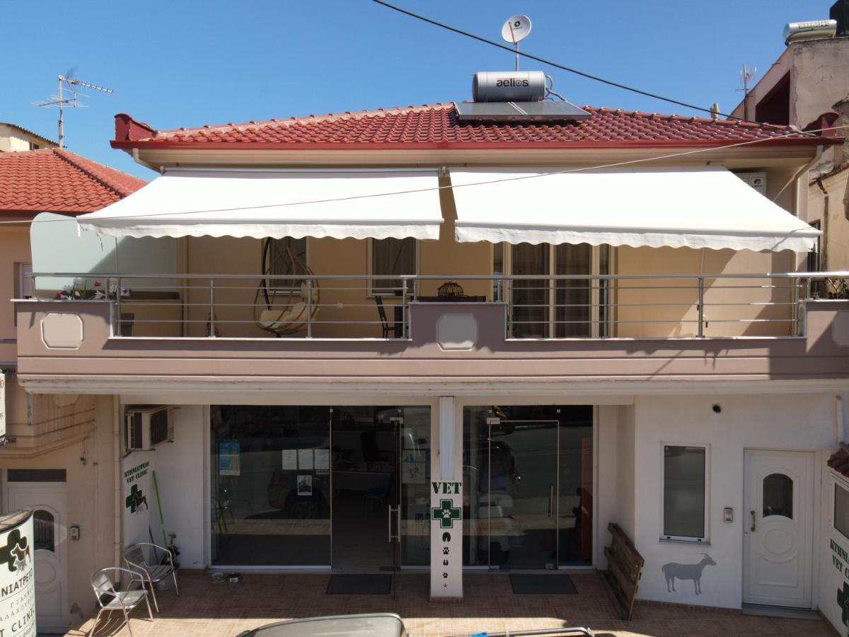 Casa Ideale Λιμενάρια Εξωτερικό φωτογραφία